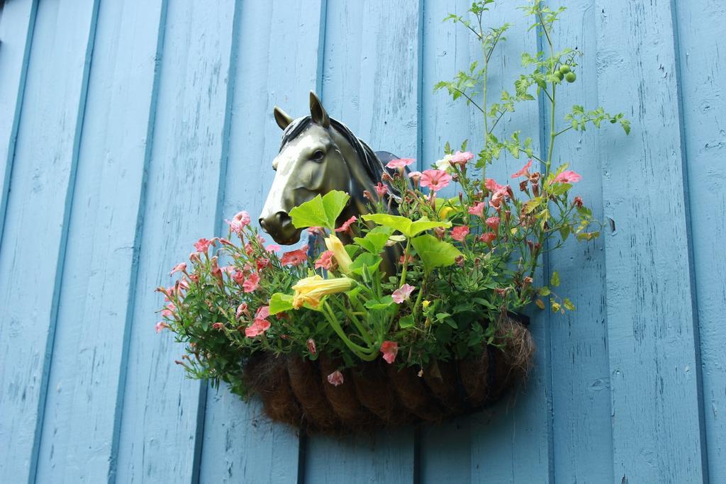 Auberge Le Cheval Bleu Saint-Alphonse-Rodriguez Esterno foto